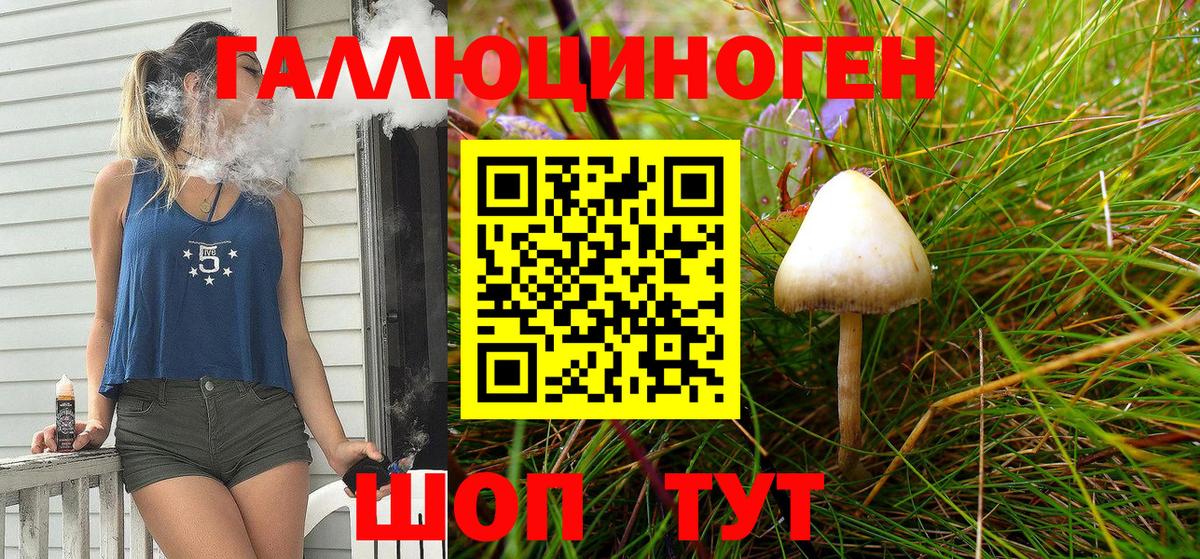 Алексеевка  магазин продажи   Вход с VPN  Галлюциногенные грибы MAGIC MUSHROOMS 